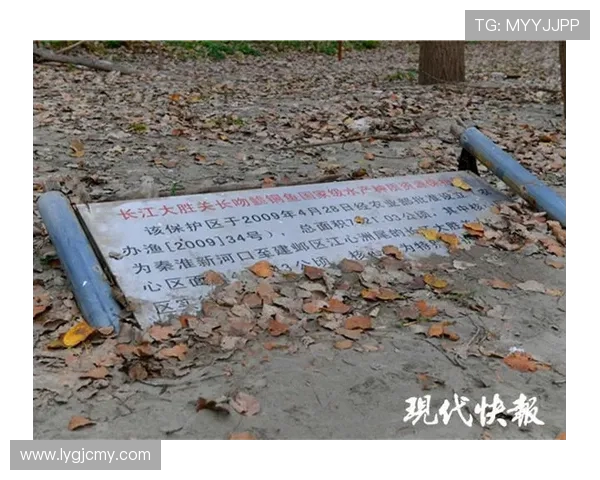 南京攀岩队区域防守革新之路探索与实践分析